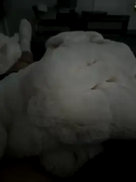 Snapshot of Furdale chatting on 11/05/25, 02:50 Furdale online show from 11/05/25, 02:50