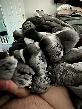 Snapshot of Furdale chatting on 11/15/25, 01:29 Furdale online show from 11/15/25, 01:29