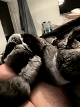 Furdale online show from 11/18/25, 05:17