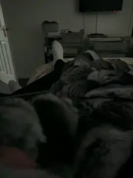 Furdale online show from 02/11/26, 03:39