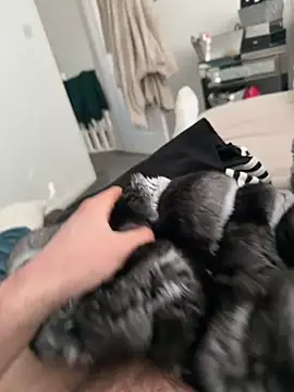 Furdale online show from 03/07/26, 03:42