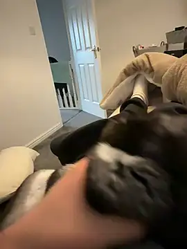 Furdale online show from 03/12/26, 04:57