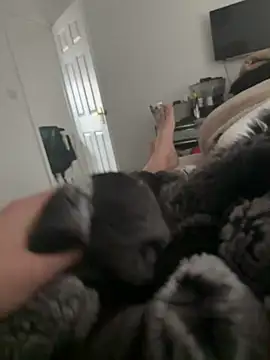 Furdale online show from 03/16/26, 09:57