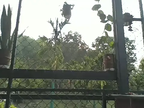 Indiaguy4u online show from 03/23/26, 02:15