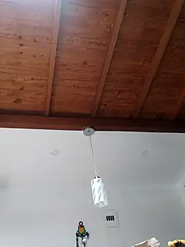 shelby kutter online show from 03/02/25, 07:23