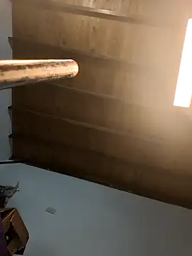 shelby kutter online show from 10/07/25, 04:59