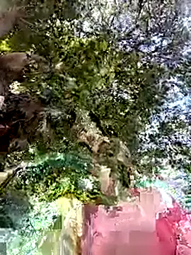 Nicolle Milf online show from 09/24/25, 06:55