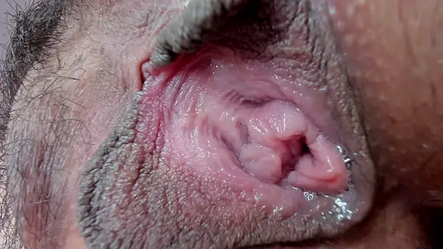 ms pickless online show from 01/27/25, 03:18