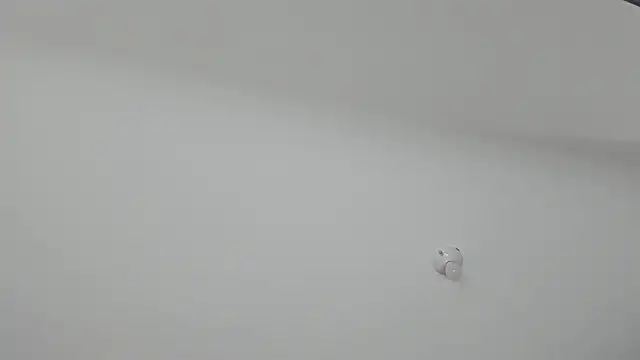 ms pickless online show from 01/30/25, 12:16