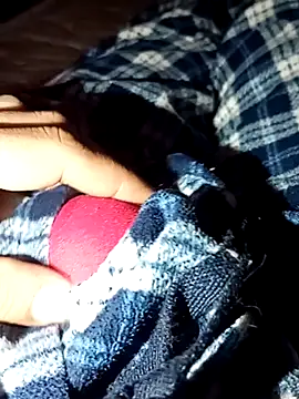 rodovlaz online show from 02/04/26, 11:42