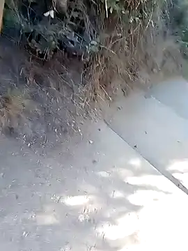 rodovlaz online show from 03/02/26, 01:07