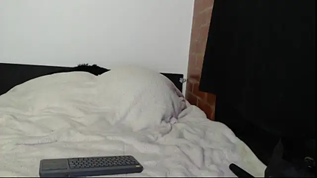 Snapshot of Sofynix chatting on 11/15/25, 12:30 Sofynix online show from 11/15/25, 12:30