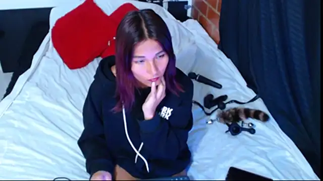 Snapshot of Sofynix chatting on 12/16/25, 09:42 Sofynix online show from 12/16/25, 09:42