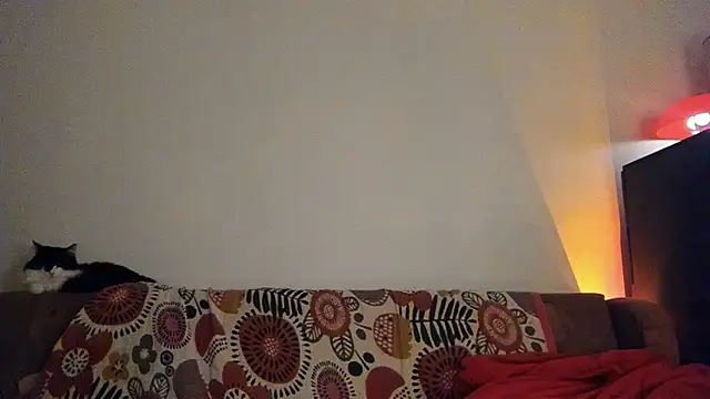 Snapshot of ClancyMorissey chatting on 01/18/25, 09:02 ClancyMorissey online show from 01/18/25, 09:02