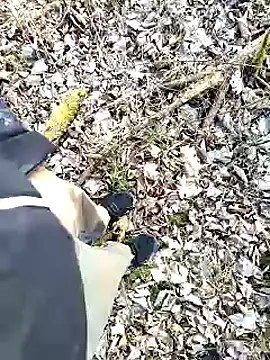 Snapshot of Boring_one chatting on 02/03/25, 02:55 Boring one online show from 02/03/25, 02:55