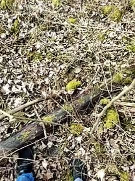 Snapshot of Boring_one chatting on 03/17/25, 01:50 Boring one online show from 03/17/25, 01:50