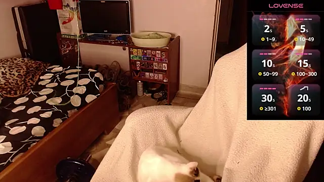 Apolo S online show from 02/14/26, 08:33