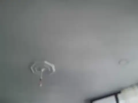 ALPHANDRE online show from 11/20/25, 05:51