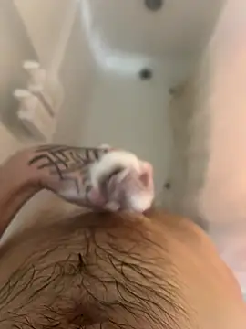 ThatTattooedGuy online show from 12/01/25, 08:52