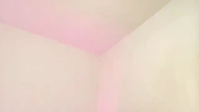 kattyytaylor online show from 07/01/26, 12:40