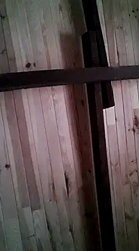 davigochi77bcn online show from 03/06/25, 11:20