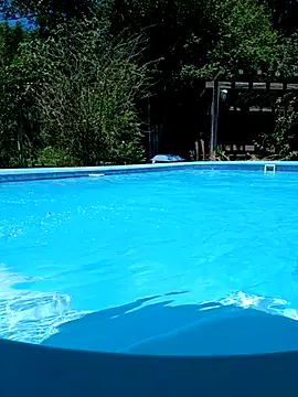 dutra498 online show from 02/11/26, 04:23