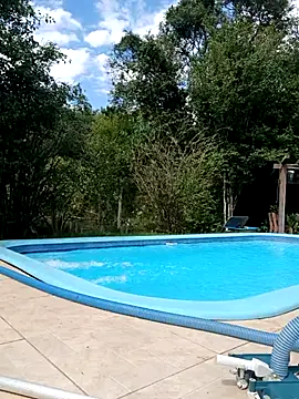 dutra498 online show from 04/06/26, 04:08