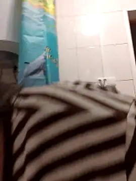 Zulfiya Bruce online show from 11/01/25, 06:10