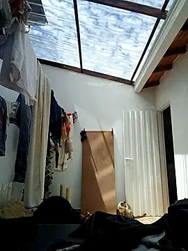 LunaZambrano online show from 09/08/25, 03:44