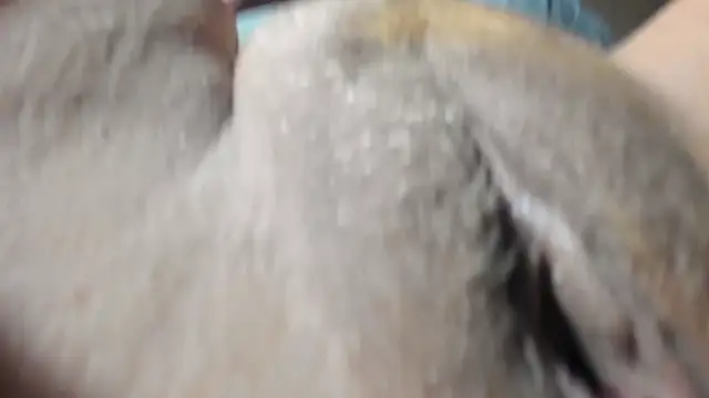 Snapshot of FrumCake chatting on 12/27/24, 01:11 FrumCake online show from 12/27/24, 01:11