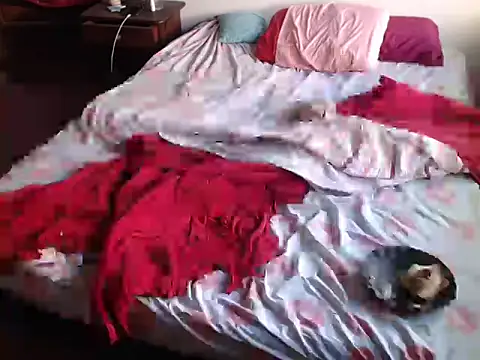 deftoolceles online show from 03/23/26, 06:56