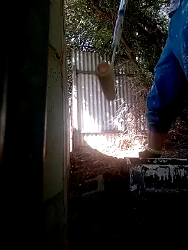 wilfukany1 online show from 02/24/25, 11:30