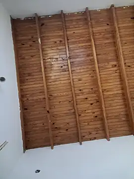 ZaraHoney online show from 01/20/25, 10:59