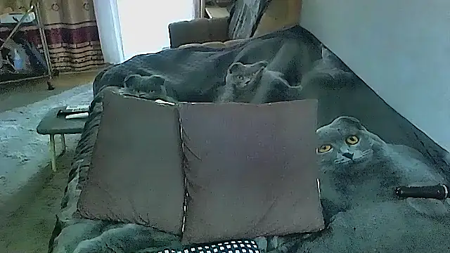 sex2 online show from 10/16/25, 02:23