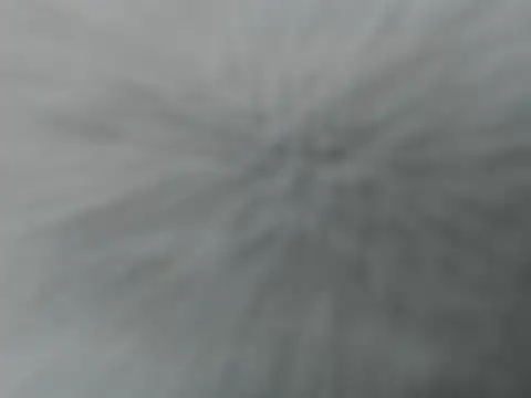 Lauren baby online show from 12/16/25, 11:21