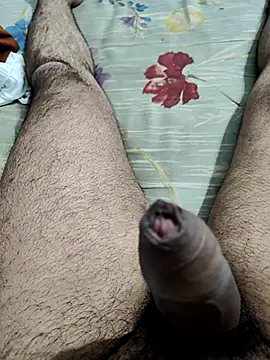 vishnuvinod india online show from 11/15/25, 02:13