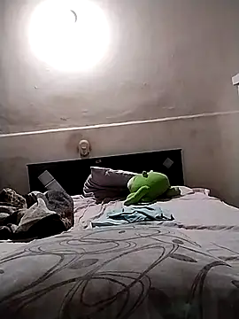 starplss online show from 11/08/25, 03:07