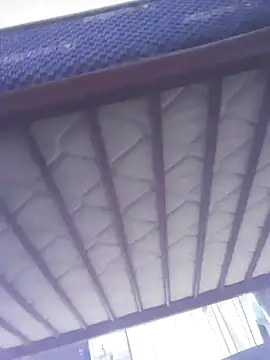 Snapshot of marie12345679 chatting on 12/17/24, 12:56 marie12345679 online show from 12/17/24, 12:56