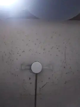 Snapshot of marie12345679 chatting on 02/26/26, 01:15 marie12345679 online show from 02/26/26, 01:15