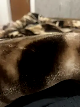 bigshow112 online show from 11/13/25, 04:22