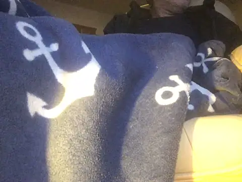 Snapshot of translove chatting on 02/14/25, 08:05 translove online show from 02/14/25, 08:05