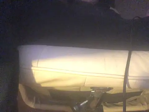 Snapshot of translove chatting on 03/20/25, 08:29 translove online show from 03/20/25, 08:29