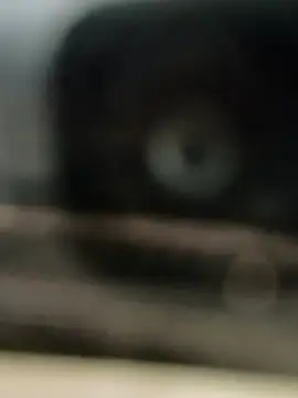 Snapshot of hornydick4you chatting on 03/02/25, 10:56 hornydick4you online show from 03/02/25, 10:56