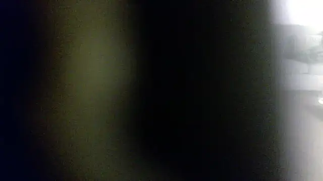 Snapshot of palidin1 chatting on 02/01/26, 07:51 palidin1 online show from 02/01/26, 07:51