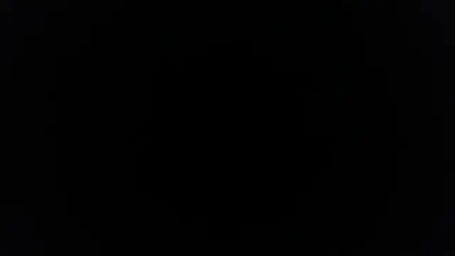 Snapshot of palidin1 chatting on 02/09/26, 03:49 palidin1 online show from 02/09/26, 03:49