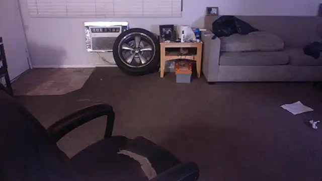 Snapshot of palidin1 chatting on 04/17/26, 07:33 palidin1 online show from 04/17/26, 07:33