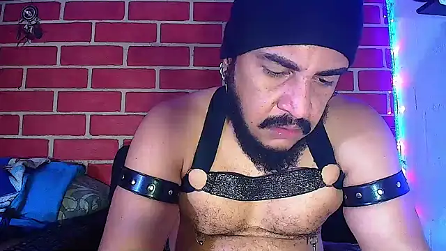 the master foal  online show from 01/16/25, 04:18