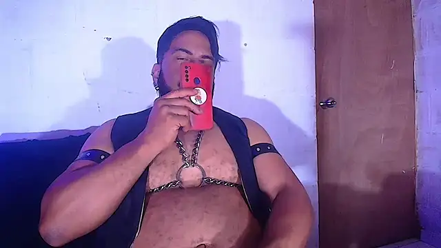 the master foal  online show from 02/08/25, 08:31