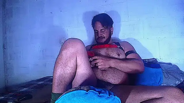 the master foal  online show from 03/12/25, 10:48