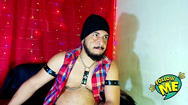 the master foal  online show from 09/17/25, 10:39